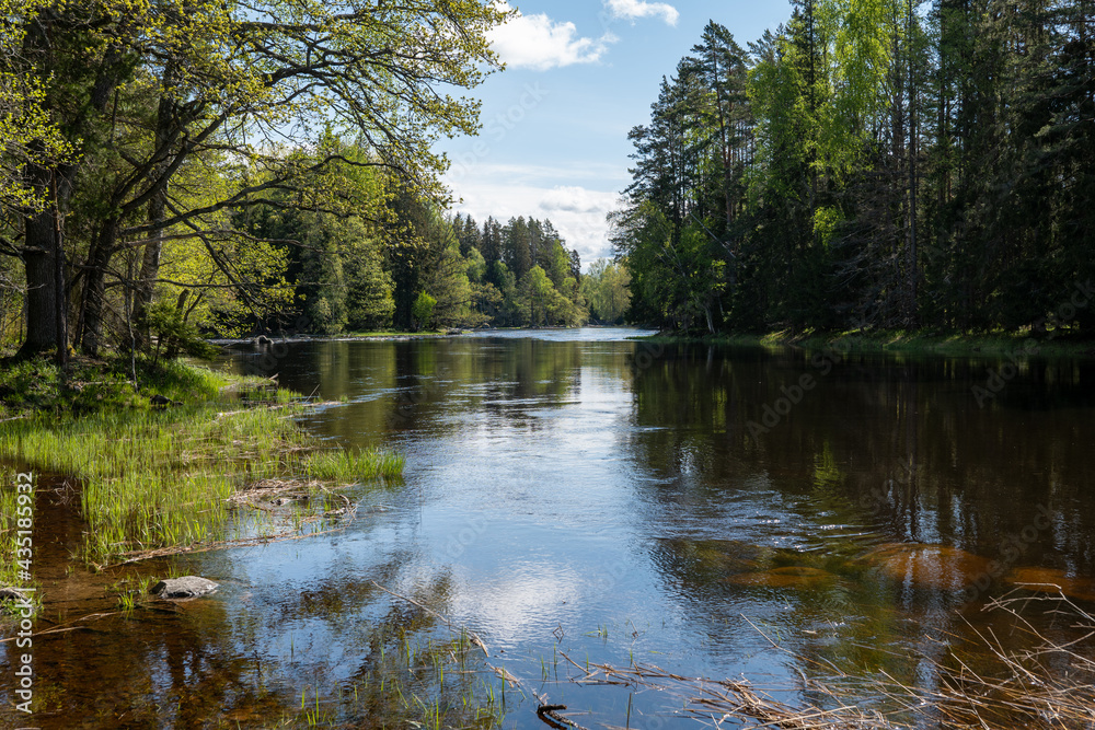 Swedish river and natural salmon area in spring. Farnebofjarden national park in north of Sweden.