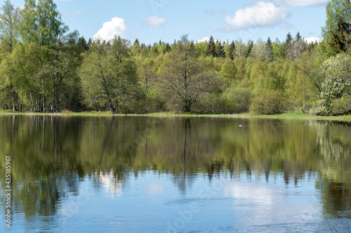 Swedish river and natural salmon area in spring. Farnebofjarden national park in north of Sweden.