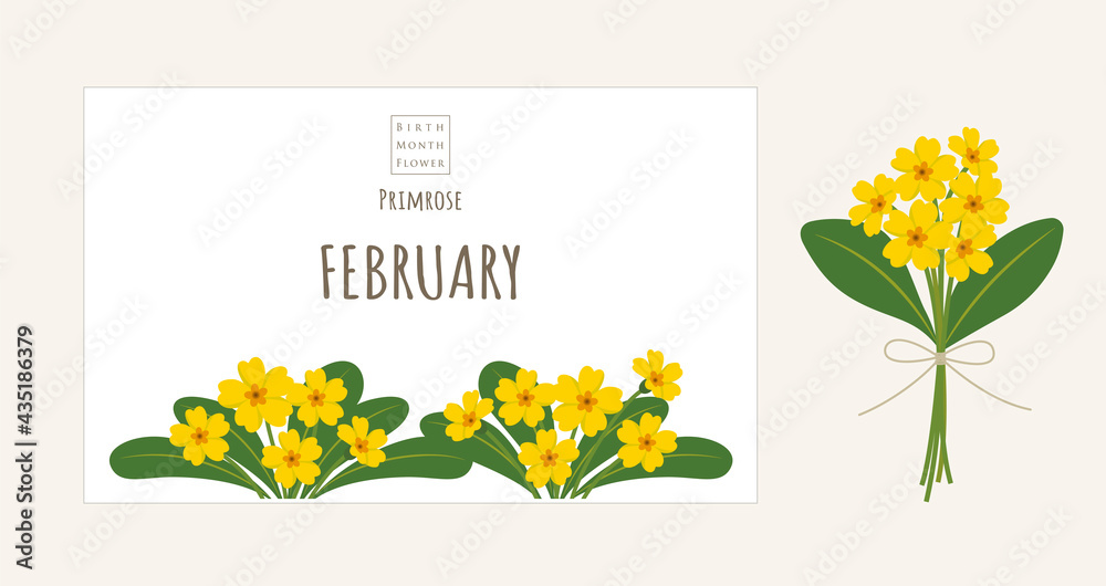 誕生月の花のイラスト 2月の誕生花 プリムローズ Stock Vector Adobe Stock
