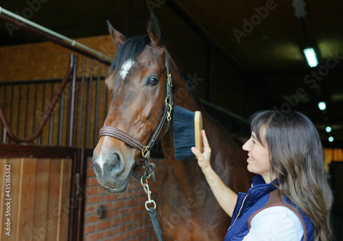 horse and rider. Process of cleaning horse. 