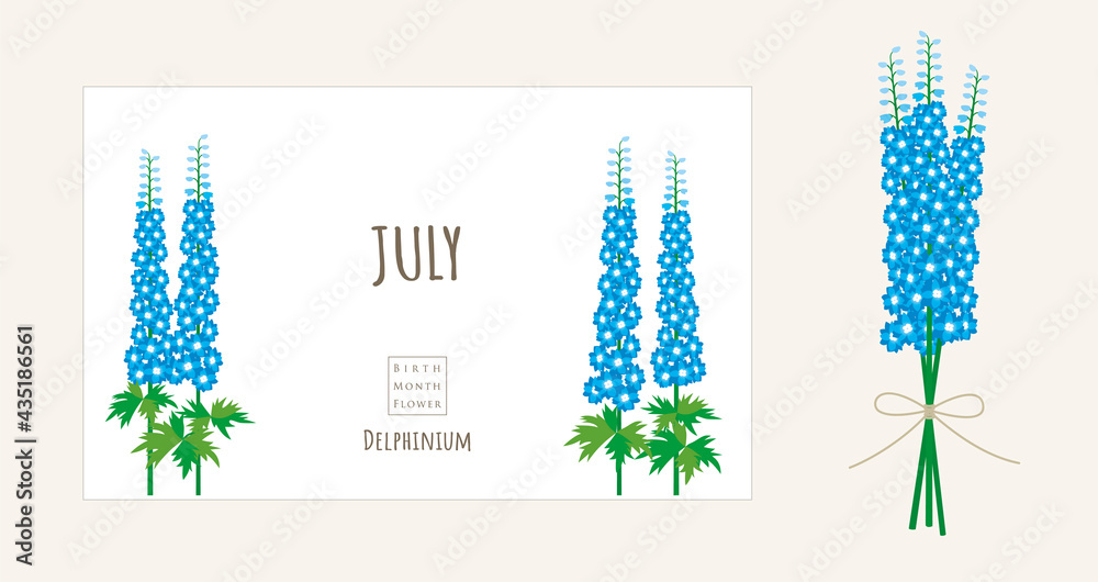 誕生月の花のイラスト 7月の誕生花 デルフィニウム Stock Vector Adobe Stock