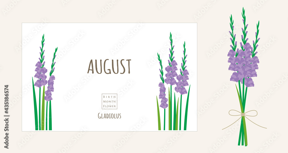 誕生月の花のイラスト 8月の誕生花 グラジオラス Stock Vector Adobe Stock