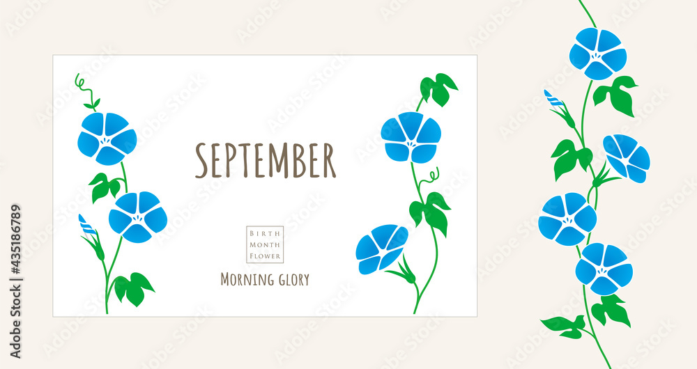 誕生月の花のイラスト｜9月の誕生花、朝顔