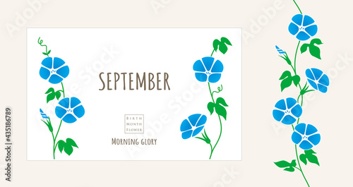 誕生月の花のイラスト｜9月の誕生花、朝顔