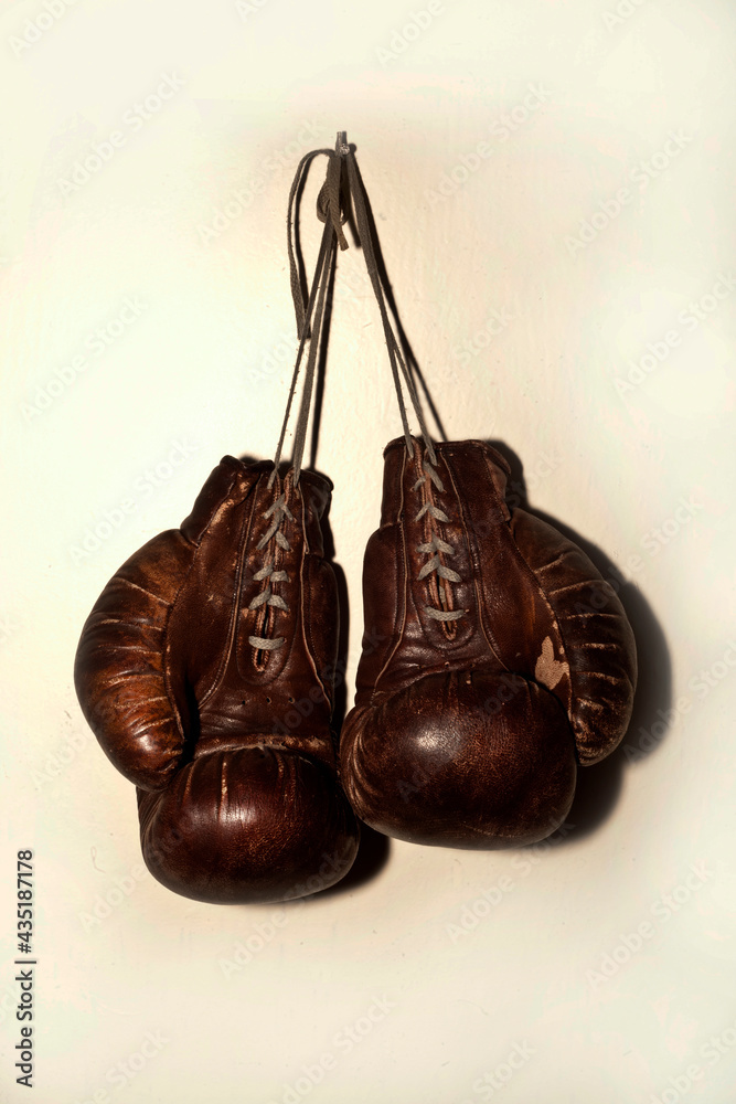 pair of boxing gloves