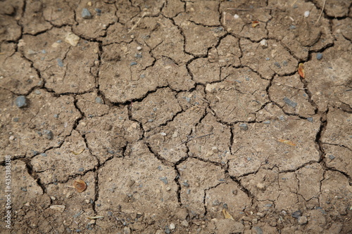 Drought, dry lake bed (focus on the earth)