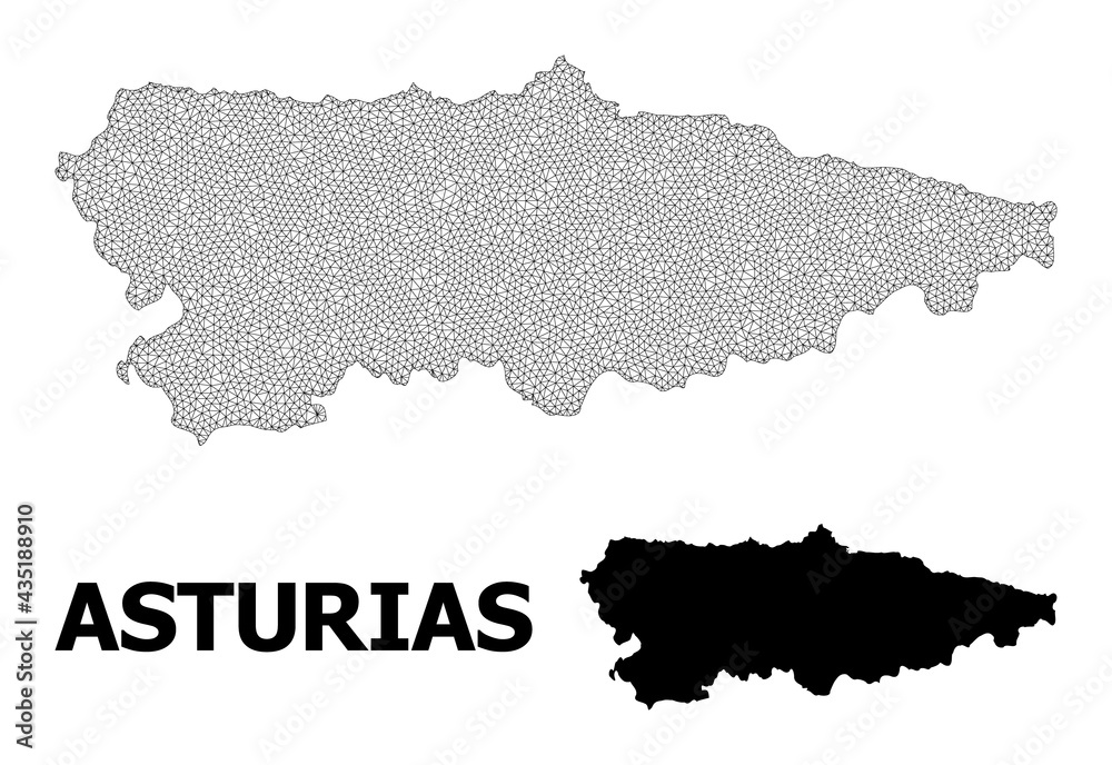 Polygonal mesh map of Asturias Province in high resolution. Mesh lines, triangles and dots form map of Asturias Province.