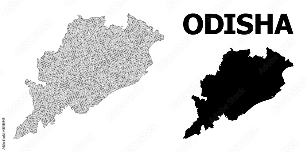 Fototapeta premium Polygonal mesh map of Odisha State in high resolution. Mesh lines, triangles and dots form map of Odisha State.
