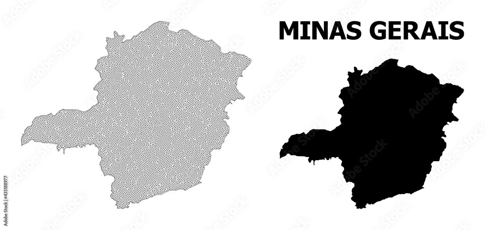 Polygonal mesh map of Minas Gerais State in high detail resolution. Mesh lines, triangles and dots form map of Minas Gerais State.