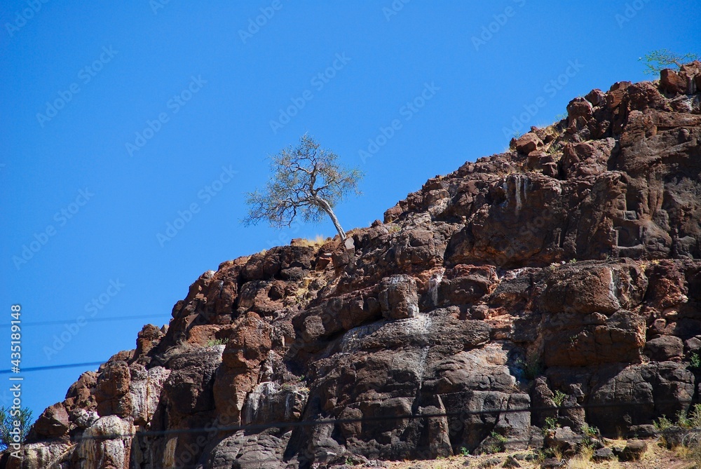 Single tree on the side of a rocky hill with blue sky and no clouds