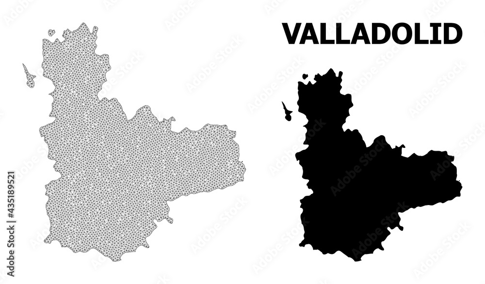 Polygonal mesh map of Valladolid Province in high resolution. Mesh lines, triangles and points form map of Valladolid Province.
