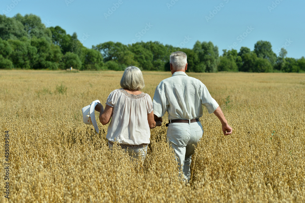 Back view. Happy elderly couple resting in field