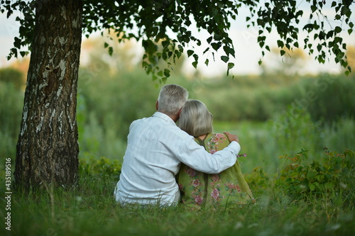 Back view of senior couple sitting on grass © aletia2011