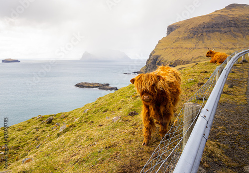 Faroe Islands - Aerial - Animals - Aircraft photo