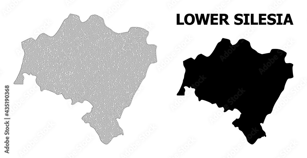 Polygonal mesh map of Lower Silesia Province in high detail resolution. Mesh lines, triangles and dots form map of Lower Silesia Province.