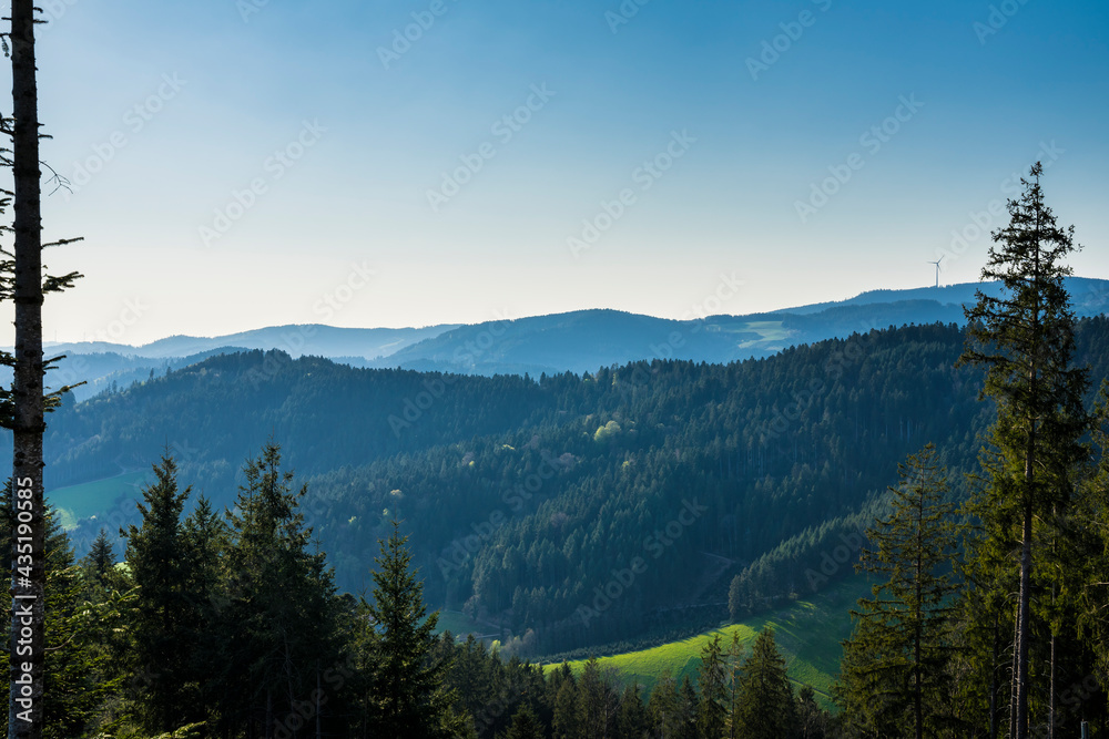 Germany, Wide panorama view above the endless green tree tops of the german schwarzwald near hausach on the summit of spitzfelsen mountain