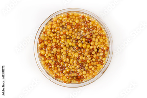 Pickled mustard seeds isolated on a white background.