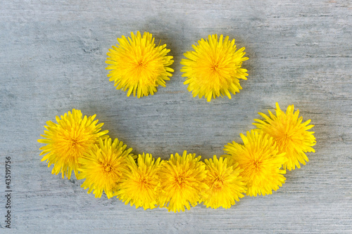 Dandelion flower emoticon in full bloom on wooden background. Close up photo as a natural background. Flower abstract texture banner with copy space. High quality photo