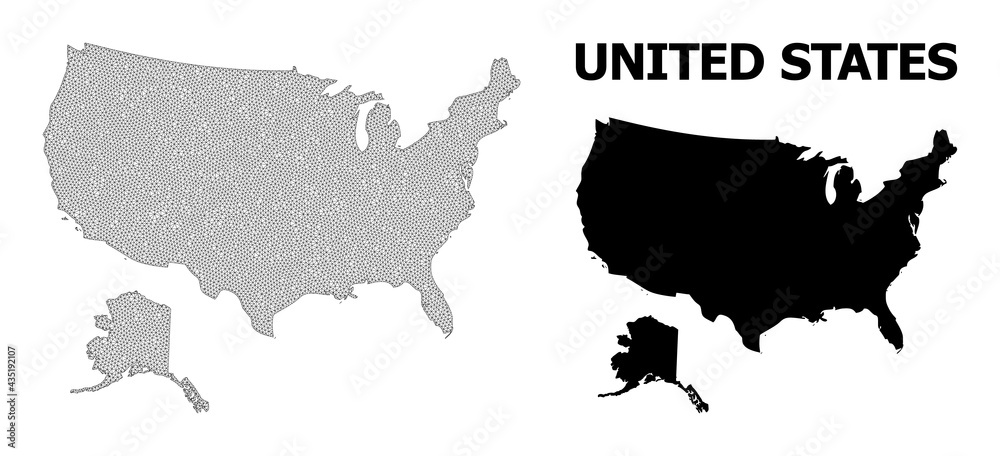 Fototapeta Wielokątna mapa siatki USA i Alaski w wysokiej rozdzielczości. Linie siatki, trójkąty i kropki tworzą mapę USA i Alaski.