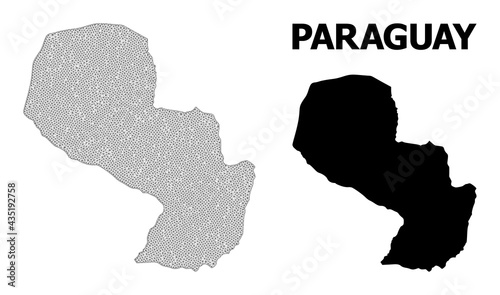 Polygonal mesh map of Paraguay in high detail resolution. Mesh lines, triangles and dots form map of Paraguay.
