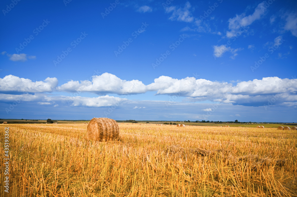 haystack on the meadow in summer with focus on teh sky. Harvest gathering concept