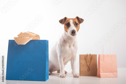Dog shopping sale. Jack russell terrier and different paper bags on a white background © Михаил Решетников