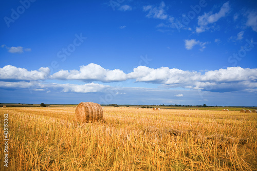 haystack on the meadow in summer with focus on teh sky. Harvest gathering concept