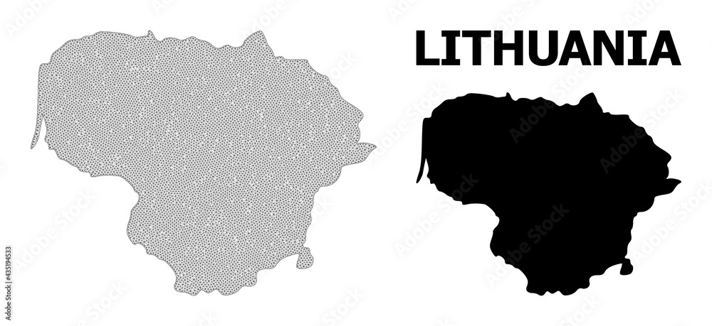 Polygonal mesh map of Lithuania in high detail resolution. Mesh lines, triangles and points form map of Lithuania.