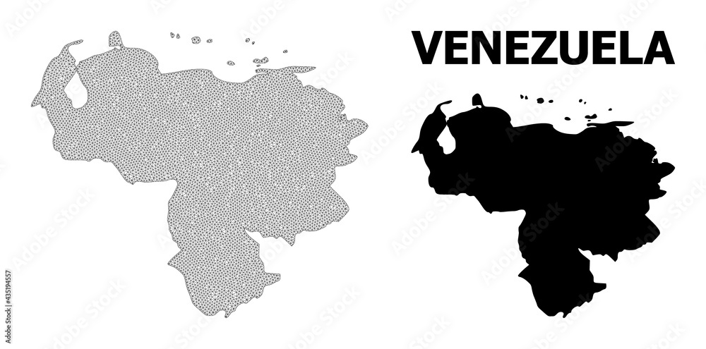 Polygonal Mesh Map Of Venezuela In High Detail Resolution Mesh Lines