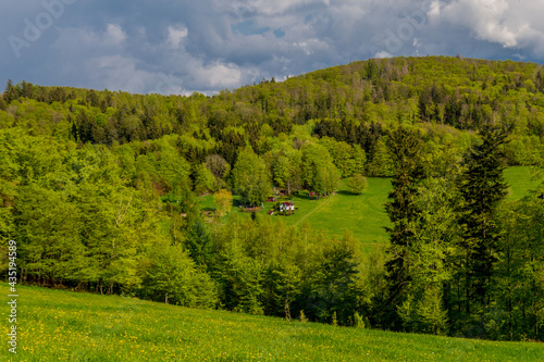 Springlike awakening along the Rennsteig in the most beautiful sunshine photo