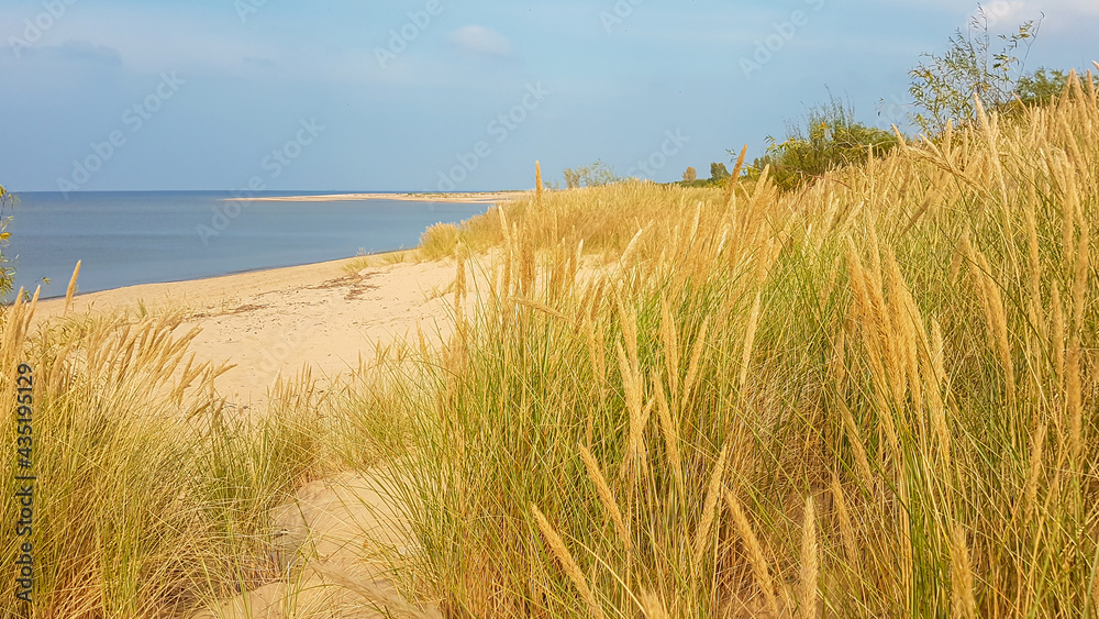 A panoramic view on the sandy beach by Baltic Sea on Sobieszewo island, Poland. The beach is scarcely overgrown with high grass. The sea is gently waving. A bit of overcast. Serenity and calmness A panoramic view on the sandy beach by Baltic Sea on Sobieszewo island, Poland. The beach is scarcely overgrown with high grass. The sea is gently waving. A bit of overcast. Serenity and calmness