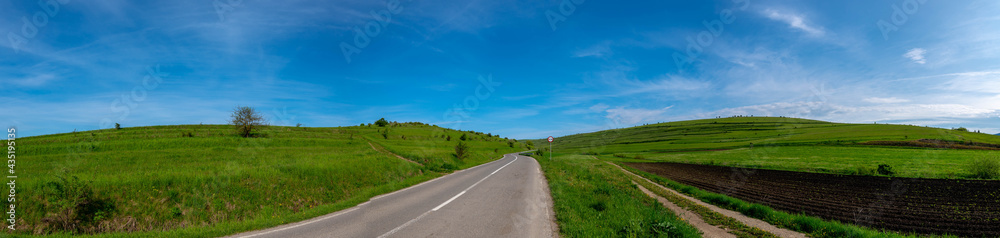 Panoramic view, asphalt road leading through green agricultural fields at springtime.