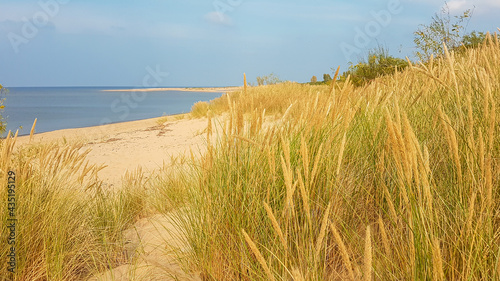 A panoramic view on the sandy beach by Baltic Sea on Sobieszewo island  Poland. The beach is scarcely overgrown with high grass. The sea is gently waving. A bit of overcast. Serenity and calmness