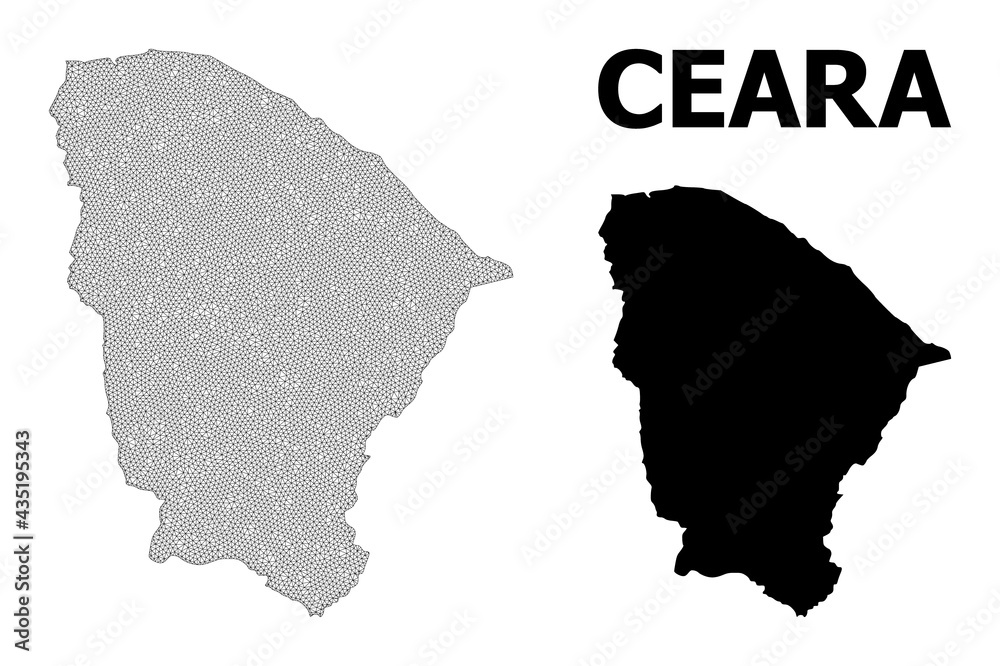 Polygonal mesh map of Ceara state in high resolution. Mesh lines, triangles and points form map of Ceara state.