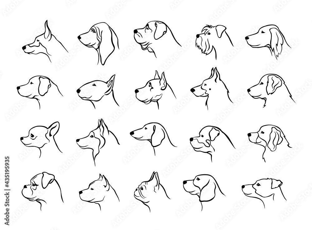 Naklejka premium collection of dogs heads profile side view portraits silhouettes in black color