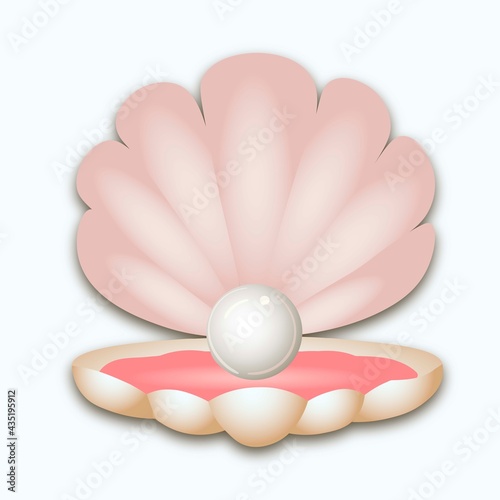 Opened seashell scallop with pearl on white background. Vector illustration