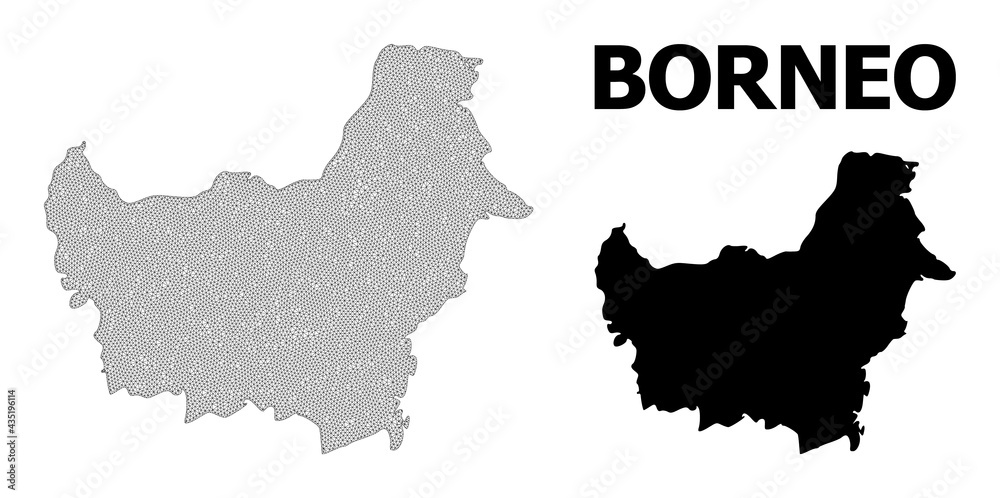 Polygonal mesh map of Borneo Island in high detail resolution. Mesh lines, triangles and dots form map of Borneo Island.