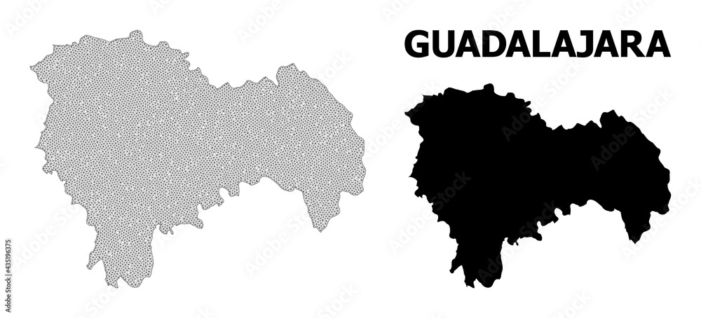 Polygonal mesh map of Guadalajara Province in high detail resolution. Mesh lines, triangles and points form map of Guadalajara Province.