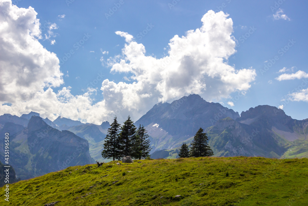 Obraz premium The Kandersteg Valley and mountain pastures in Switzerland 