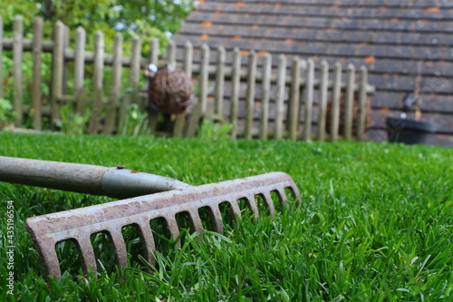 close up of a rake in a garden on a lawn