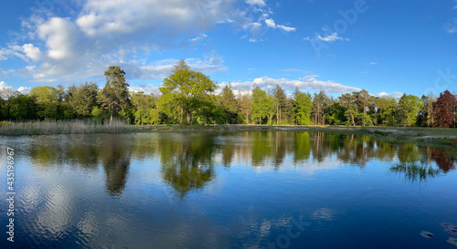 Panorama from a lake in the forest around Beerze