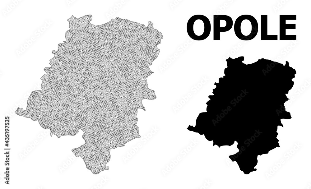 Polygonal mesh map of Opole Province in high detail resolution. Mesh lines, triangles and points form map of Opole Province.