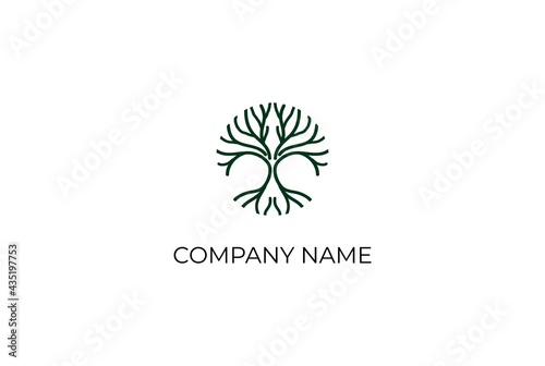 Family Tree of Life , Oak Banyan Logo Design Vector