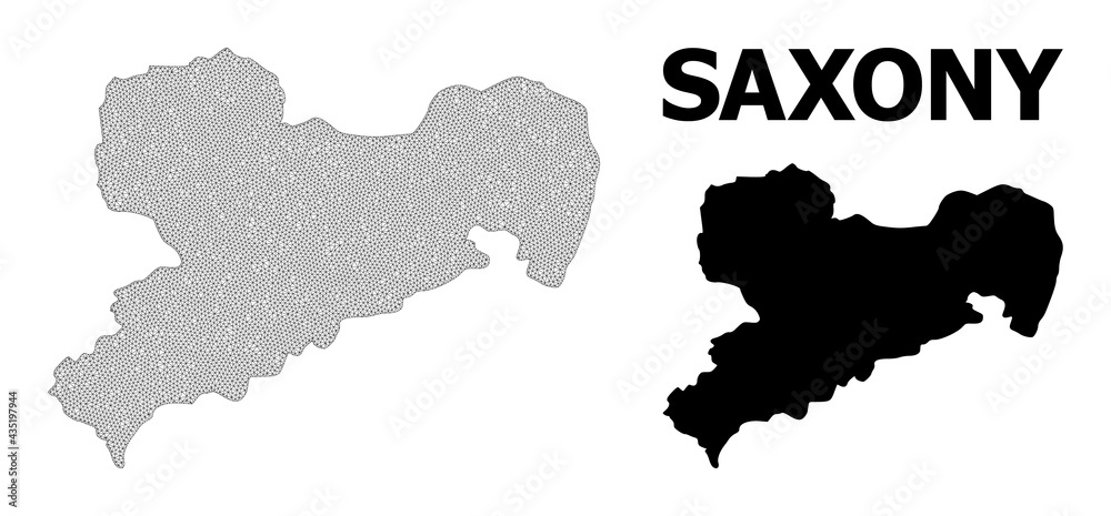 Polygonal mesh map of Saxony State in high detail resolution. Mesh lines, triangles and points form map of Saxony State.