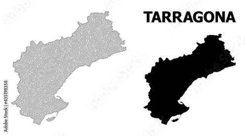 Polygonal mesh map of Tarragona Province in high detail resolution. Mesh lines, triangles and points form map of Tarragona Province.