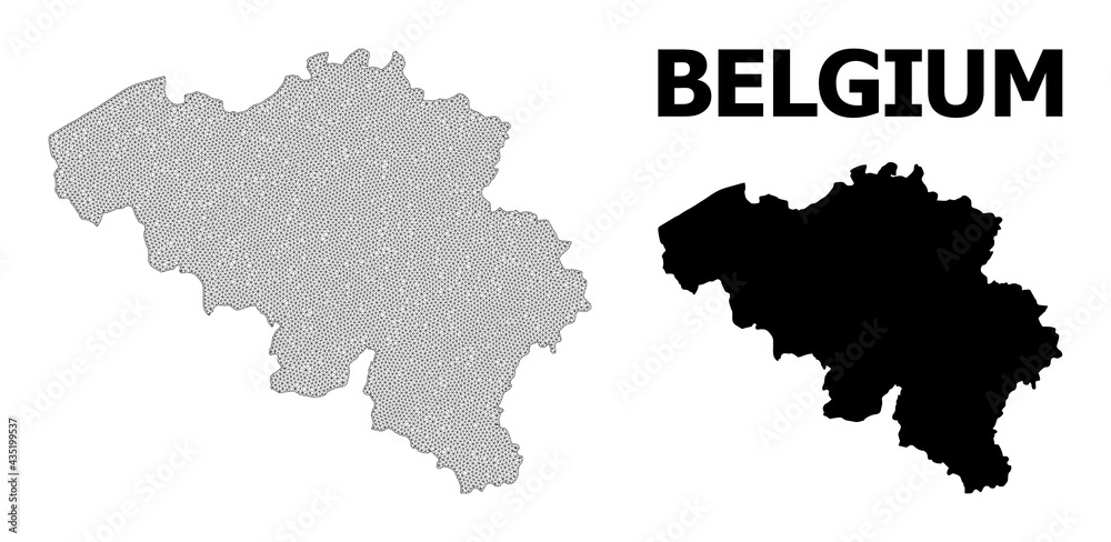 Polygonal mesh map of Belgium in high resolution. Mesh lines, triangles and points form map of Belgium.