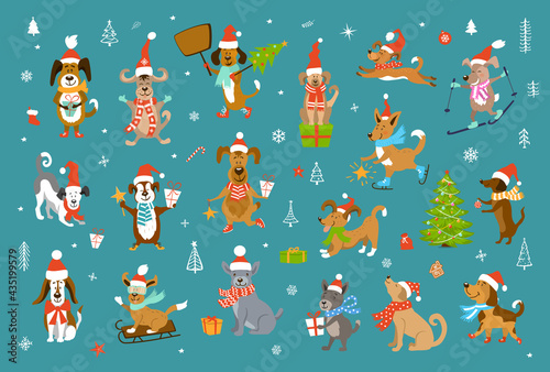 cute funny christmas and happy new year dogs in winter santa claus hats and scarfs.pets sledding skiing jumping running having fun enjoying holidays celebrating and giving receiving presents