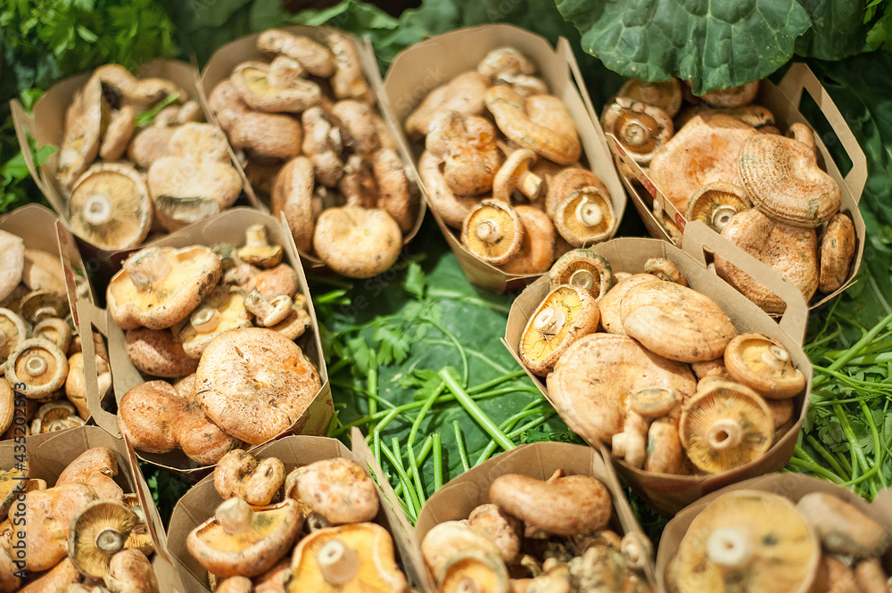 Fototapeta premium fresh assorted wild mushrooms in trays laid out on the market