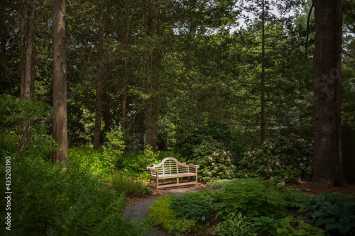 Spotlighted teak bench in the woods
