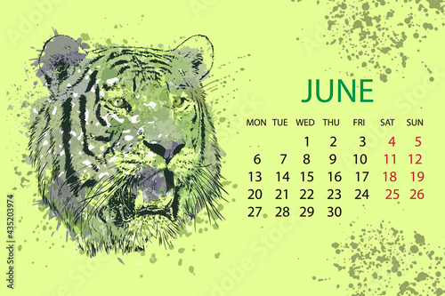 
2022 June, calendar month with a tiger's head. Contour graphics on an abstract background of imitation of watercolor texture. Vector illustration.

